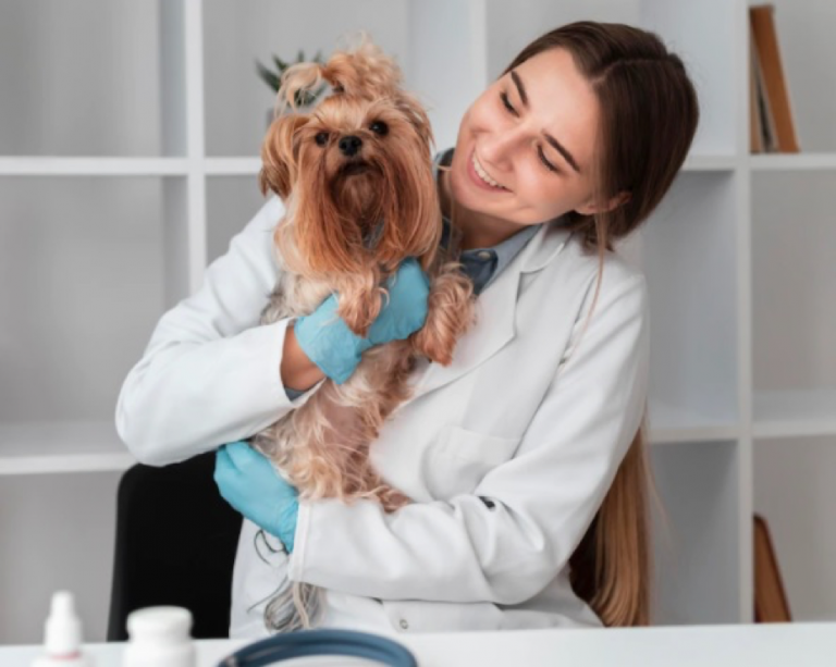 Veterinário não pode ser MEI