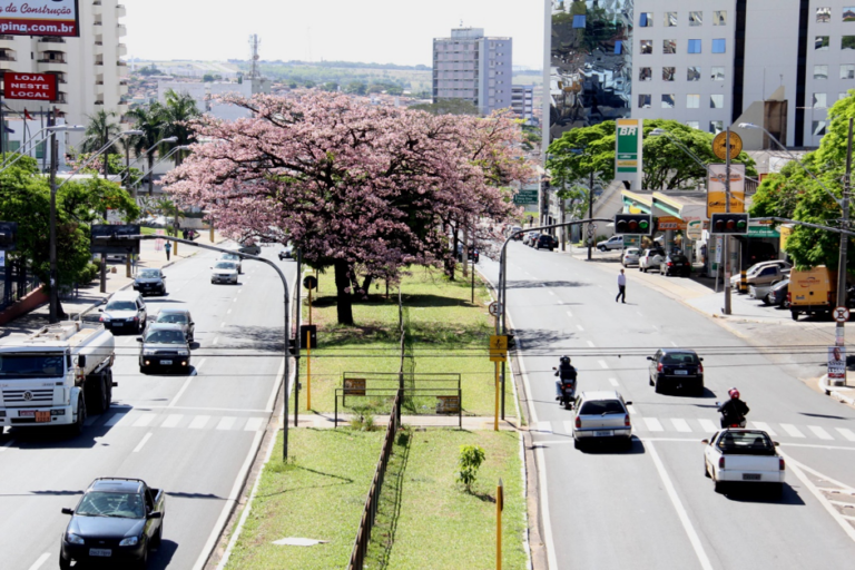 Como abrir uma empresa em Bauru